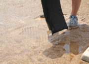 Beacon Puddle Sponge